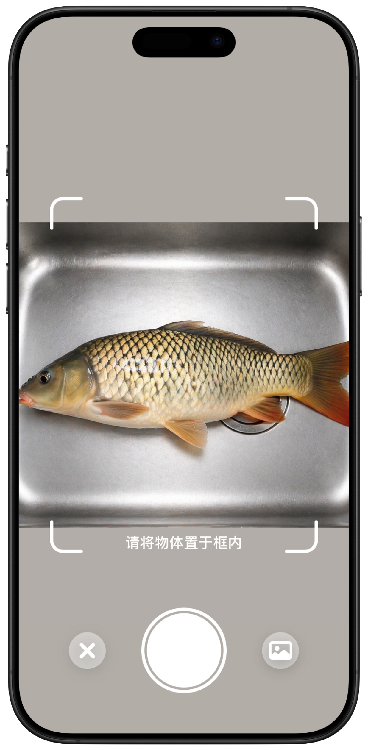 App 截图 2