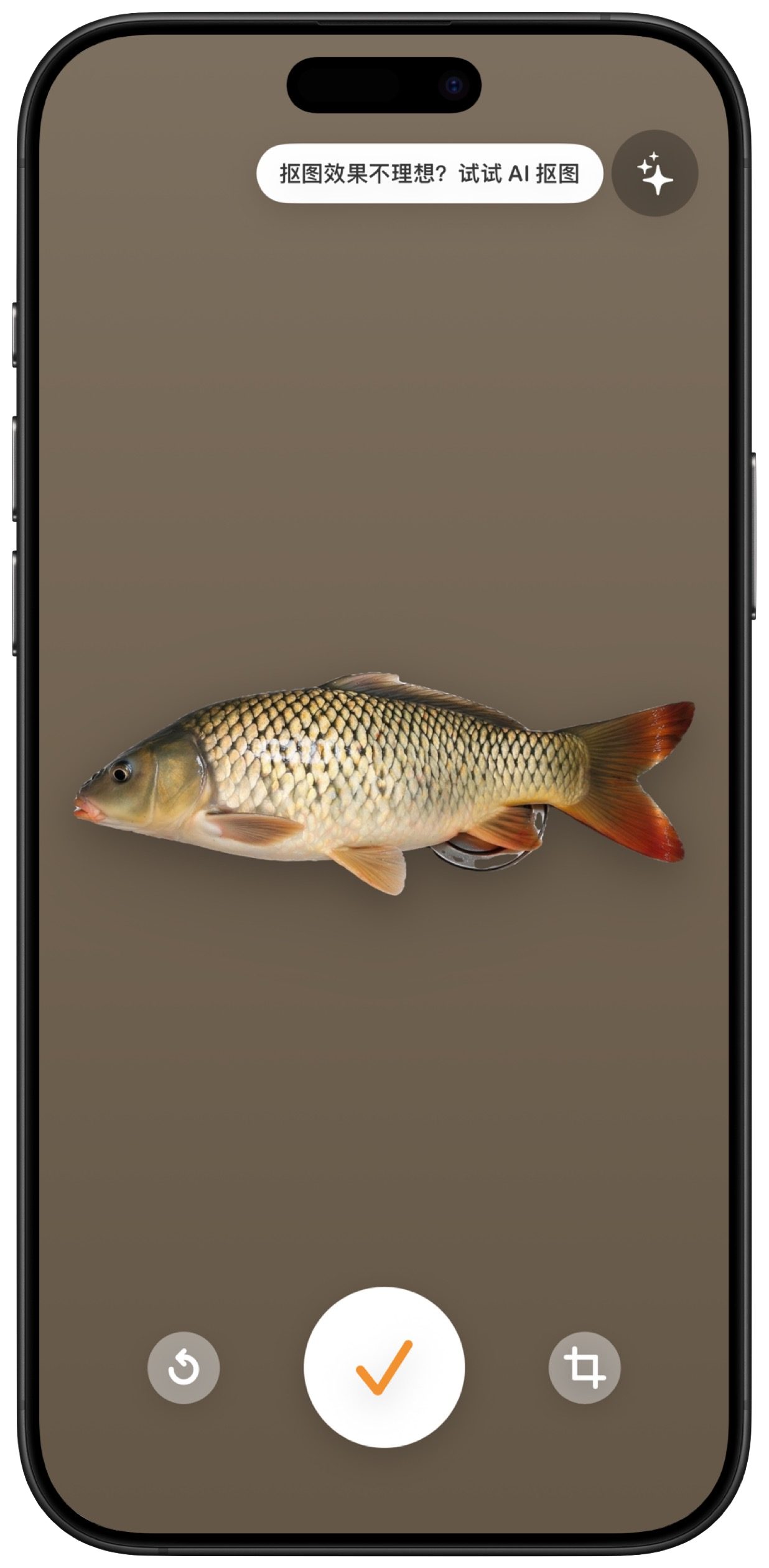 App 截图 3